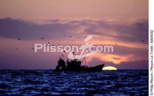 La pêche continue au lever du soleil - © Philip Plisson / Plisson La Trinité / AA04032 - Nos reportages photos - Petite pêche