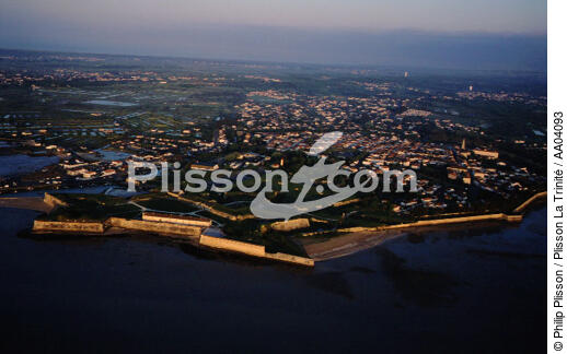 Vue aérienne de l'île d'Oléron. - © Philip Plisson / Plisson La Trinité / AA04093 - Photo Galleries - Charente Maritime