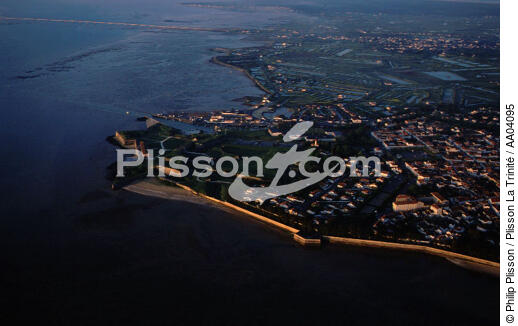 Vue aérienne de l'île d'Oléron. - © Philip Plisson / Plisson La Trinité / AA04095 - Nos reportages photos - Oléron [ile d']