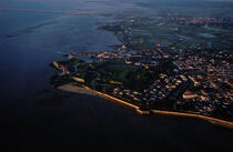 Vue aérienne de l'île d'Oléron. © Philip Plisson / Plisson La Trinité / AA04095 - Nos reportages photos - Charente Maritime
