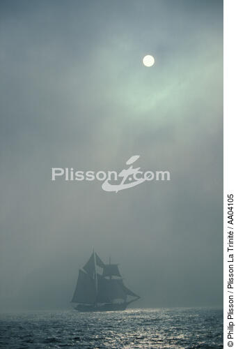 La Belle-Poule - © Philip Plisson / Plisson La Trinité / AA04105 - Nos reportages photos - Brume