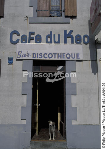 Chien à la porte d'un bar. - © Philip Plisson / Plisson La Trinité / AA04129 - Nos reportages photos - Animal domestique