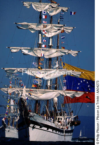 Le Simon Bolivar - © Philip Plisson / Plisson La Trinité / AA04273 - Nos reportages photos - Armada [L']