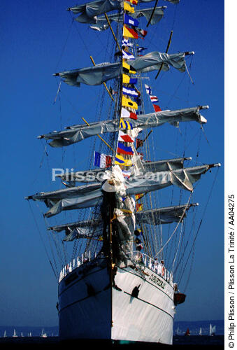 Le Cuauhtemoc. - © Philip Plisson / Plisson La Trinité / AA04275 - Nos reportages photos - Armada [L']