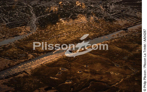 Bassin d'Arcachon. - © Philip Plisson / Plisson La Trinité / AA04287 - Nos reportages photos - Arcachon [Bassin d']