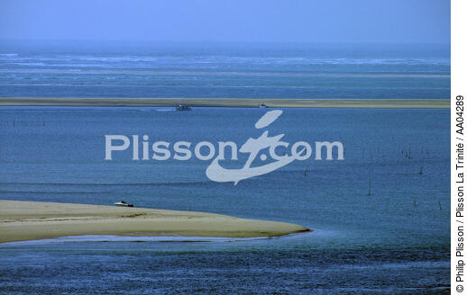Arcachon. - © Philip Plisson / Plisson La Trinité / AA04289 - Nos reportages photos - Arcachon [Bassin d']