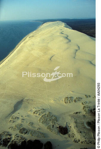 Dune du Pilat - © Philip Plisson / Plisson La Trinité / AA04293 - Photo Galleries - Arcachon [Basin of]