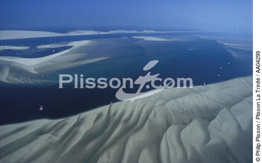 Banc d'Arguin. - © Philip Plisson / Plisson La Trinité / AA04299 - Nos reportages photos - Pilat [Dune du]