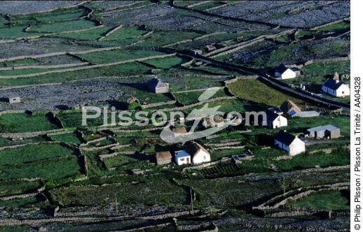 Inishmore. - © Philip Plisson / Plisson La Trinité / AA04328 - Nos reportages photos - Iles d'Aran [les]