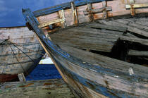 Epave de thonier à Etel. © Guillaume Plisson / Plisson La Trinité / AA04385 - Photo Galleries - Boat graveyard