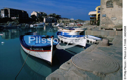 Barques au port de Centuri. - © Philip Plisson / Plisson La Trinité / AA04568 - Nos reportages photos - Port