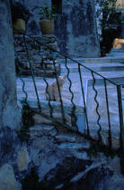 Chat dans unvillage du Cap Corse. © Philip Plisson / Plisson La Trinité / AA04590 - Photo Galleries - Pet