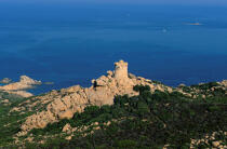 Tizzano. © Philip Plisson / Plisson La Trinité / AA04436 - Nos reportages photos - Corse