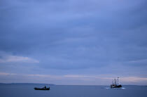 Connemara. © Philip Plisson / Plisson La Trinité / AA04682 - Photo Galleries - Rowing boat