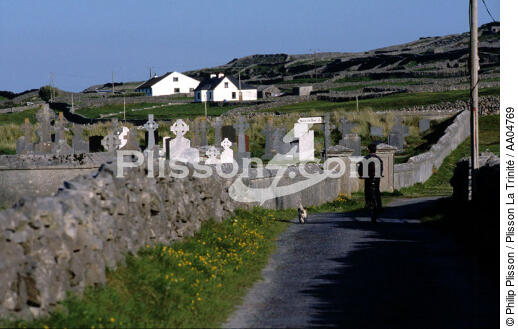 Cimetière sur Inishmore. - © Philip Plisson / Plisson La Trinité / AA04769 - Nos reportages photos - Animal domestique