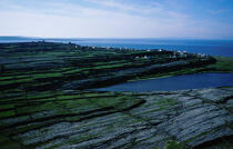 Inisheer, îles d'Aran. © Philip Plisson / Plisson La Trinité / AA04776 - Photo Galleries - Ireland, the green island