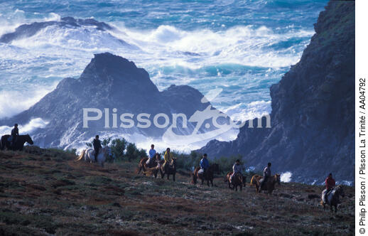 Randonnée équestre à Belle-Ile en mer. - © Philip Plisson / Plisson La Trinité / AA04792 - Photo Galleries - Horse trekking