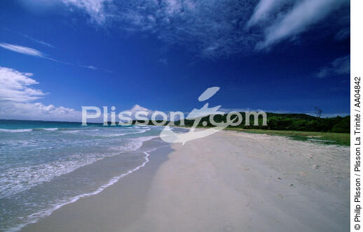 Une plage à la Martinique. - © Philip Plisson / Plisson La Trinité / AA04842 - Nos reportages photos - Plage