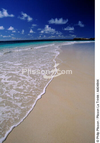 La plage de l'anse Trabaud à la Martinique. - © Philip Plisson / Plisson La Trinité / AA04844 - Nos reportages photos - Beau temps