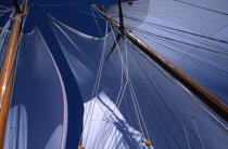 Mature du Shenandoah. © Philip Plisson / Plisson La Trinité / AA04921 - Photo Galleries - Tall ship / Sailing ship