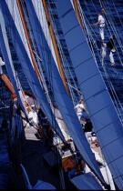 Les equipiers dans la voilure. © Philip Plisson / Plisson La Trinité / AA04922 - Photo Galleries - Three-masted schooner