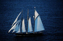 Shenandoah. © Guillaume Plisson / Plisson La Trinité / AA04933 - Photo Galleries - Tall ship / Sailing ship