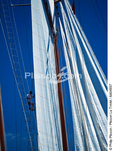 Equipier dans la mature. - © Philip Plisson / Plisson La Trinité / AA04937 - Nos reportages photos - Elément d'un bateau