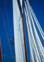 Equipier dans la mature. © Philip Plisson / Plisson La Trinité / AA04937 - Photo Galleries - Traditional sailing