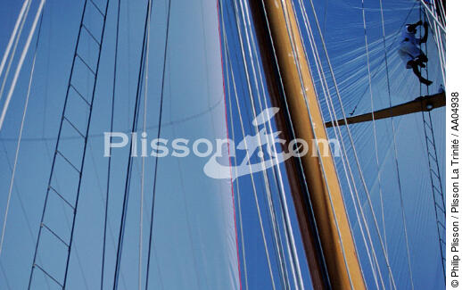 Equipier entre voile et mat. - © Philip Plisson / Plisson La Trinité / AA04938 - Photo Galleries - Shenandoah