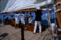L'équipage de la voilure. © Philip Plisson / Plisson La Trinité / AA04946 - Photo Galleries - Yachting