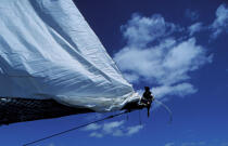 Equipier sur Shenandoah © Philip Plisson / Plisson La Trinité / AA04948 - Photo Galleries - Traditional sailing
