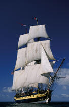 Le trois-mâts barque frégate : HMS Rose © Philip Plisson / Plisson La Trinité / AA04987 - Photo Galleries - Three masts