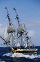 HMS Rose © Philip Plisson / Plisson La Trinité / AA04988 - Photo Galleries - Three masts