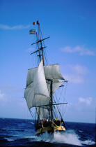 Le navire école HMS Rose. © Philip Plisson / Plisson La Trinité / AA04989 - Photo Galleries - Three masts