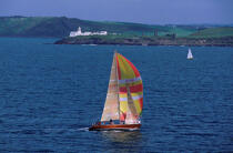 Voilier devany Roches Point en Irlande. © Philip Plisson / Plisson La Trinité / AA05019 - Photo Galleries - Yachting