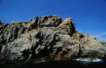 Rochers sur la côte du Stiff à Ouessant. © Philip Plisson / Plisson La Trinité / AA05023 - Photo Galleries - Rock