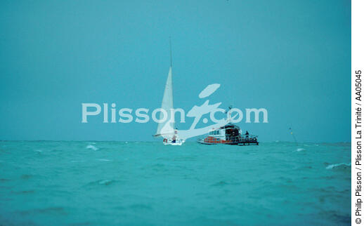 Voilier en difficulté. - © Philip Plisson / Plisson La Trinité / AA05045 - Photo Galleries - Lifeboat society