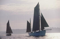 La Belle Etoile pendant le rassemblement de Brest 96. © Guillaume Plisson / Plisson La Trinité / AA05074 - Photo Galleries - Traditional sailing