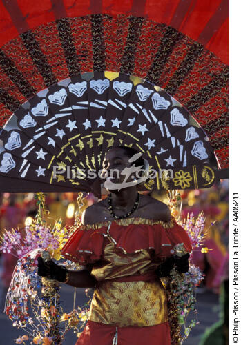 Carnaval - © Philip Plisson / Plisson La Trinité / AA05211 - Photo Galleries - Costume