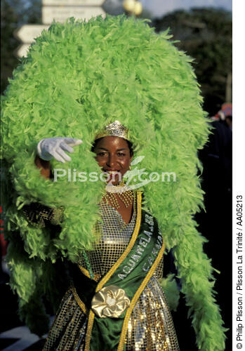 Le Carnaval de Fort-de-France - © Philip Plisson / Plisson La Trinité / AA05213 - Nos reportages photos - Antilles [Les]