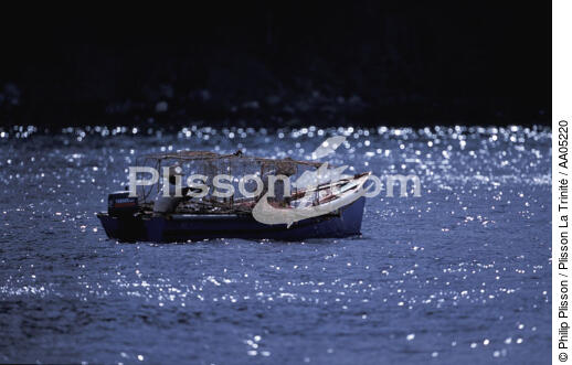Pêcheur devant l'Anse Dufour. - © Philip Plisson / Plisson La Trinité / AA05220 - Photo Galleries - Small boat