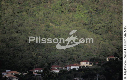 Village à la Martinique. - © Philip Plisson / Plisson La Trinité / AA05225 - Nos reportages photos - Flore
