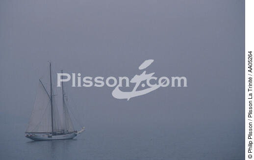 La goélette Orion dans la brume du matin. - © Philip Plisson / Plisson La Trinité / AA05264 - Photo Galleries - Classic Yachting