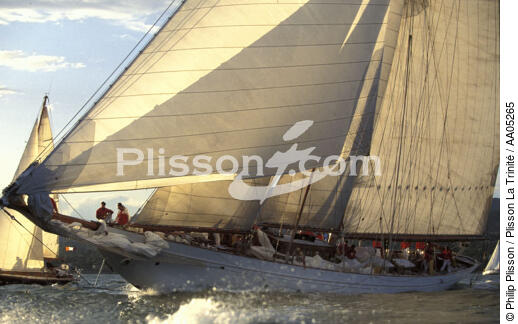 Orion. - © Philip Plisson / Plisson La Trinité / AA05265 - Photo Galleries - Gaff schooner