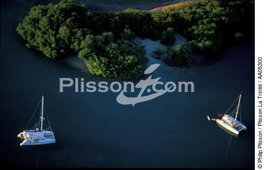 Mouillage de catamarans à la Martinique. - © Philip Plisson / Plisson La Trinité / AA05300 - Photo Galleries - Multihull