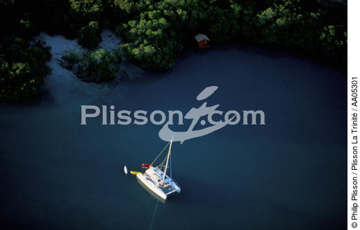 Mouillage à la Martinique. - © Philip Plisson / Plisson La Trinité / AA05301 - Photo Galleries - Lagoon
