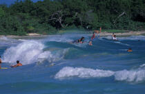 Surf à l'anse Trabaud (Martinique) © Philip Plisson / Plisson La Trinité / AA05317 - Photo Galleries - Surfing