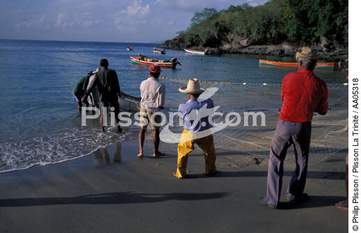 Pêcheurs martiniquais remontant la seine sur la plage de l'Anse noire - © Philip Plisson / Plisson La Trinité / AA05318 - Photo Galleries - Job