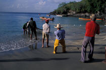 Pêcheurs martiniquais remontant la seine sur la plage de l'Anse noire © Philip Plisson / Plisson La Trinité / AA05318 - Nos reportages photos - Filet de pêche