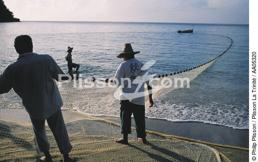 Pêche au seine (filet) depuis la plage de l'anse noire - © Philip Plisson / Plisson La Trinité / AA05320 - Nos reportages photos - Martinique [la]